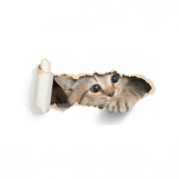Sticker humour Chat caché