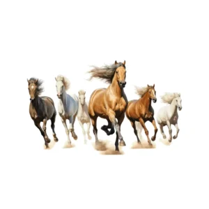 Stickers Course de chevaux