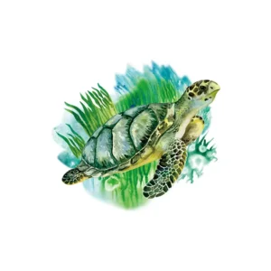 Sticker Tortue de mer