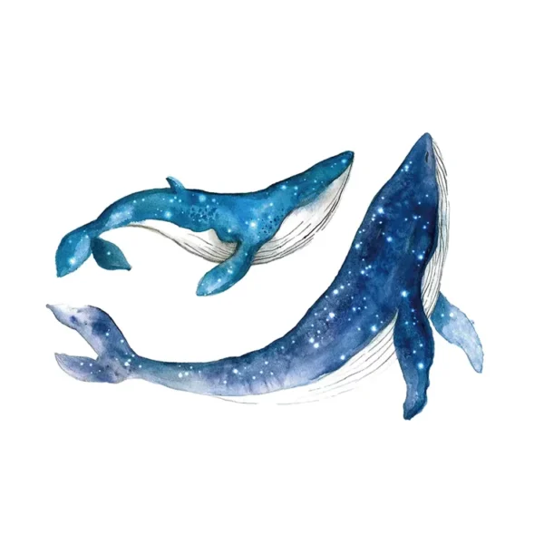 Stickers Baleine et baleineau