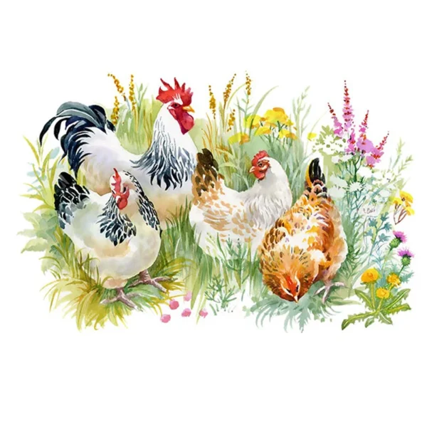 Sticker Poules et coq